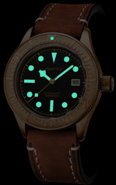 Aquatico Bronze Sea Star Black Bronze Bezel