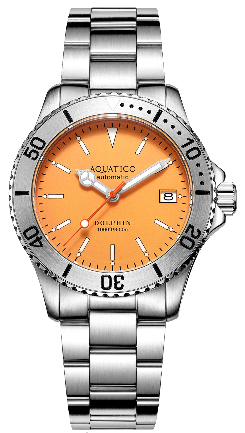 Aquatico Dolphin 39mm Automatic Dive Watch Orange