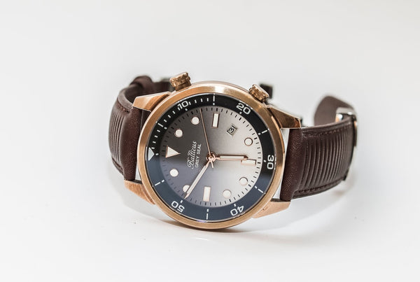Balticus Grey Seal Bronze