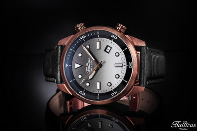 Balticus Grey Seal Bronze