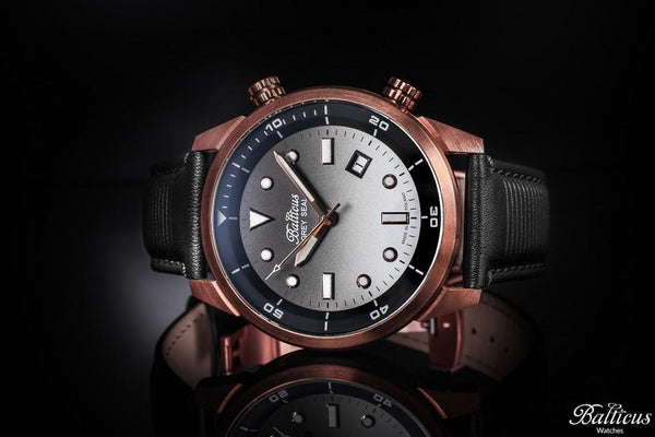 Balticus Grey Seal Bronze