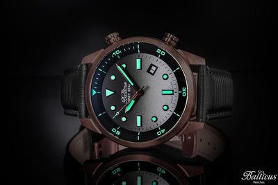 Balticus Grey Seal Bronze