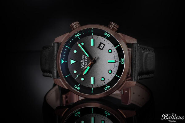 Balticus Grey Seal Bronze